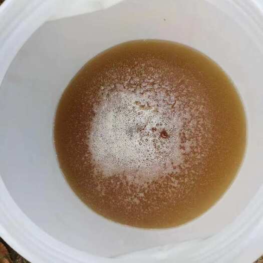 烟台自家产的蜂蜜
