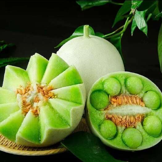 单县菏泽单县玉菇