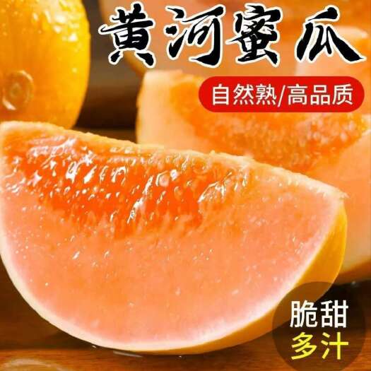 阜新黄河蜜瓜瓜瓤后瓜瓤甜瓜皮儿薄瓜肉多姿味道鲜美皮儿薄