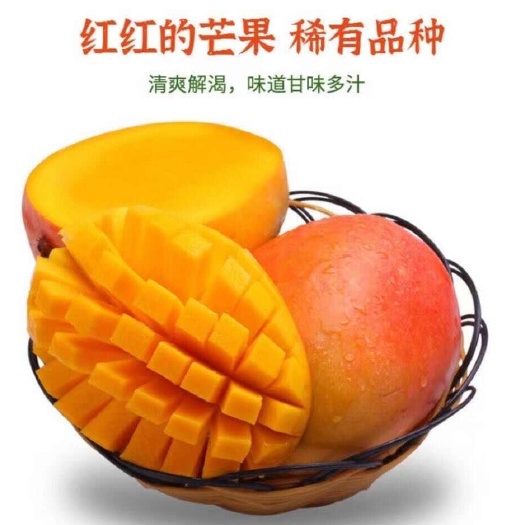 温岭市海南玉文芒