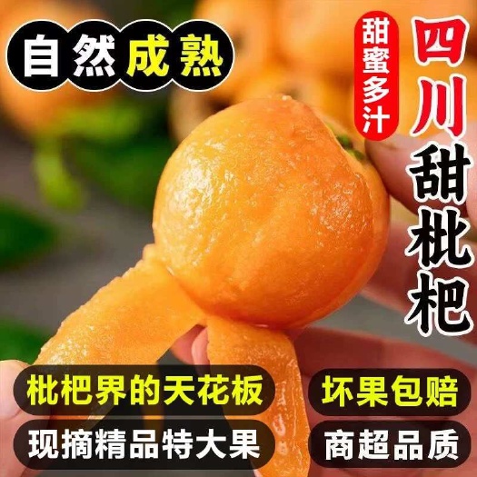 资中县四川大五星枇杷代买代发