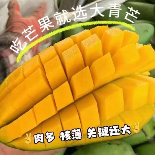 景洪市西双版纳大青芒果