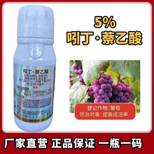 5%吲丁萘乙酸生根剂扦插生根促进生根提高成活率