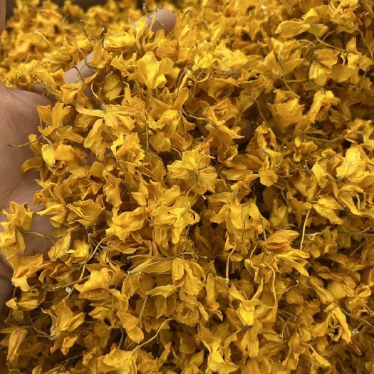 昆明云南昆明新鲜采摘石斛花鼔槌品种中药材花类植物批发零售