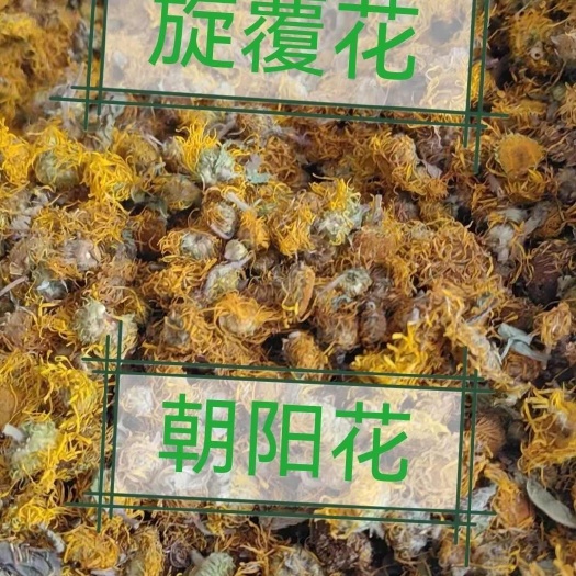 旋覆花中药材朝阳花药材大货批发