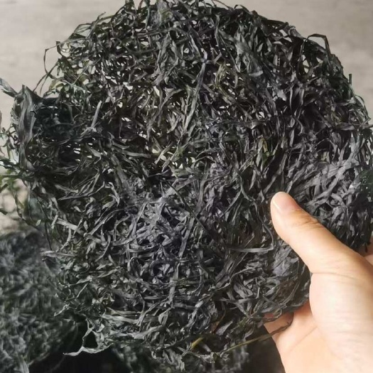 海带丝  干圈圈海带丝 圆海带丝 地摊 食堂 餐馆畅销品