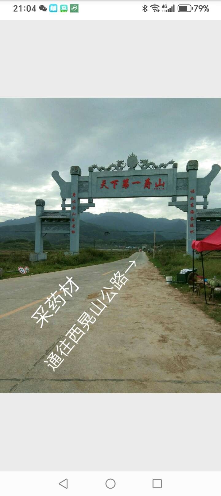 干品甜黄精，湘西西晃山特产多花姜形甜黄精(富硒)滋补。