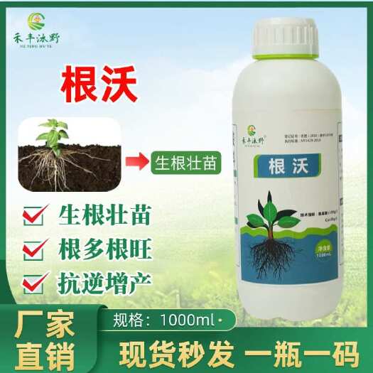 潍坊根沃水溶肥生根壮苗根多根旺