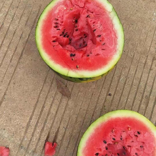 扶绥县甜王西瓜