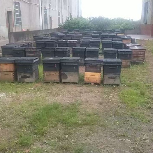 仙游县龙眼蜜