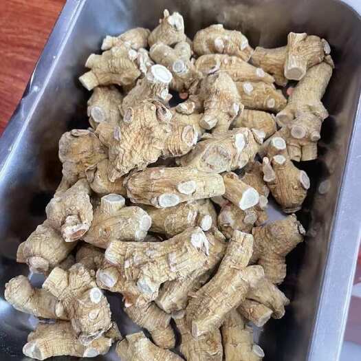 昆明加拿大西洋参