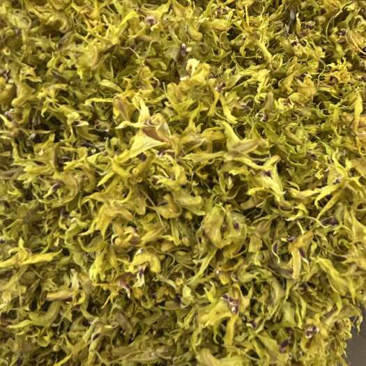 云南新鲜采摘铁皮石斛花中药材花类特产
