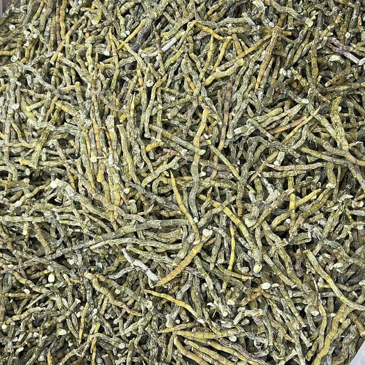 昆明云南勐海铁皮石斛芽条 昆明发货 中药材滋补佳品