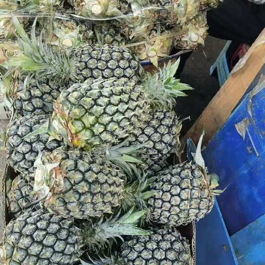 昆明电商一件代发云南香水菠萝