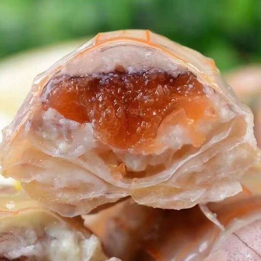 连云港每个都带膏的新鲜大母皮皮虾。