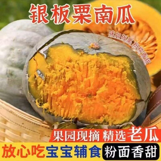 广西广东银栗南瓜板栗味南瓜2/3/5/9斤一件代发包邮批发