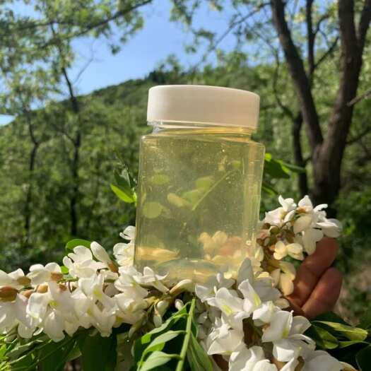 靖远县洋槐蜜
