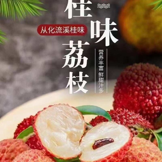 广州从化荔枝