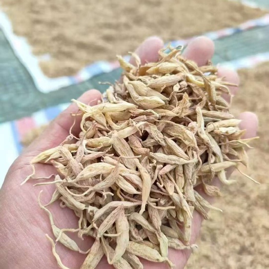 麦冬精品手工挑选纯足干无硫，干净无黑头，一手货源量大从优