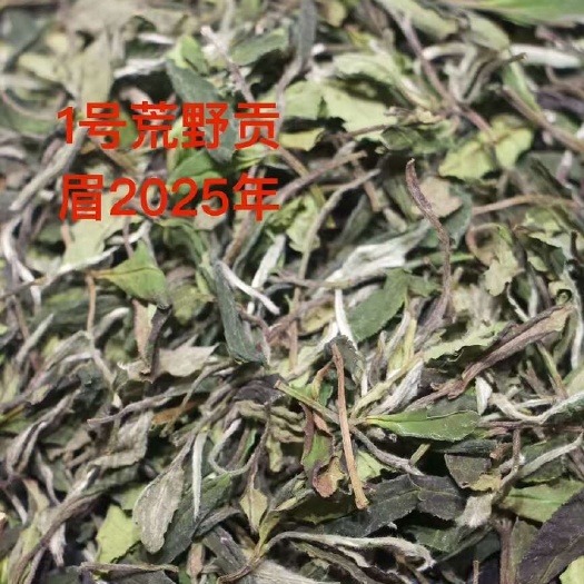 福鼎市福鼎白茶厂家，2025年荒野贡眉