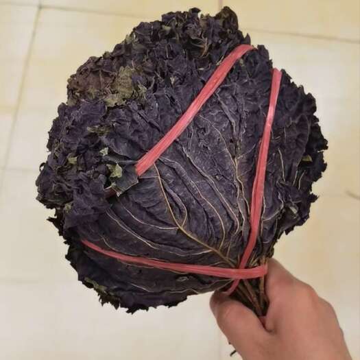 中药材紫苏 紫苏梗 紫苏叶