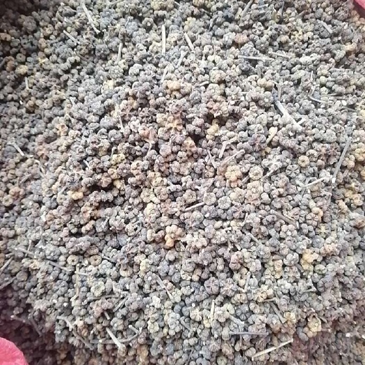 灵川县吴茱萸
