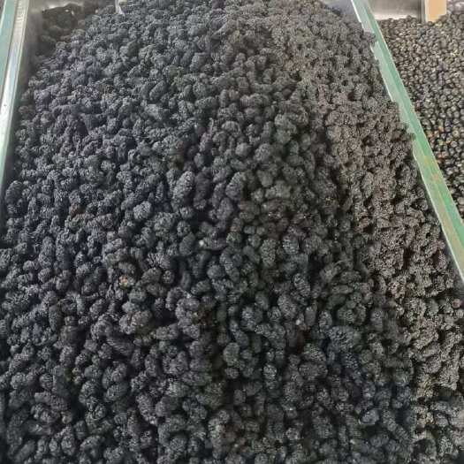 重庆市黑桑葚干  低温烘培 五黑原料
