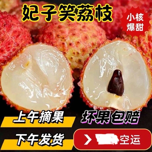 三亚空运海南妃子笑荔枝新鲜水果桂味现摘现发5当季孕妇整箱白糖包邮