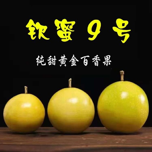 阳西县黄金百香果纯甜无酸