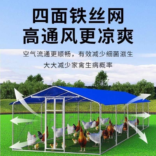 新乐市大型养殖鸡棚特大号家禽养鸡鸡笼鸽笼孔雀防雨家用搭建鸡舍户外