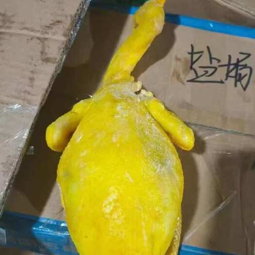 盐焗鸡 八成熟盐焗鸡整只卤味手撕鸡   卤菜店 地摊批发价格