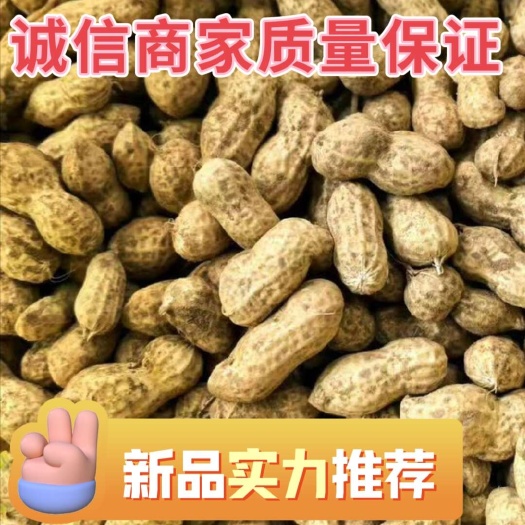 精品红米白米鲜花生大量出口 供应全国现挖现发！ 不满意包退！