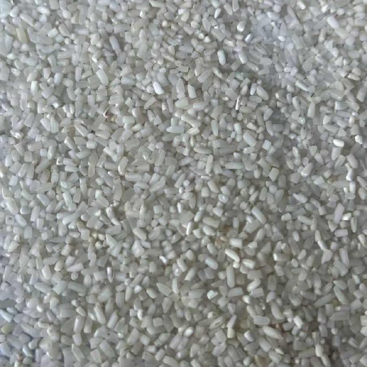 东莞市#超靓#巴基斯坦碎米：低价碎米：干净#无异味，米质#偏硬，