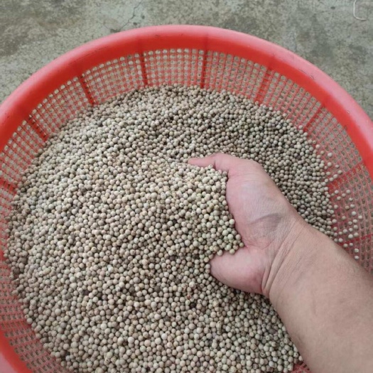 文昌市海南文昌干颗粒白胡椒优质香辛料