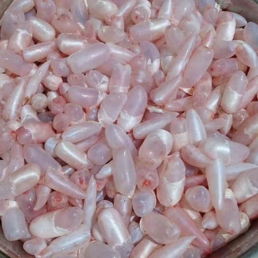 鱼籽鱼泡
