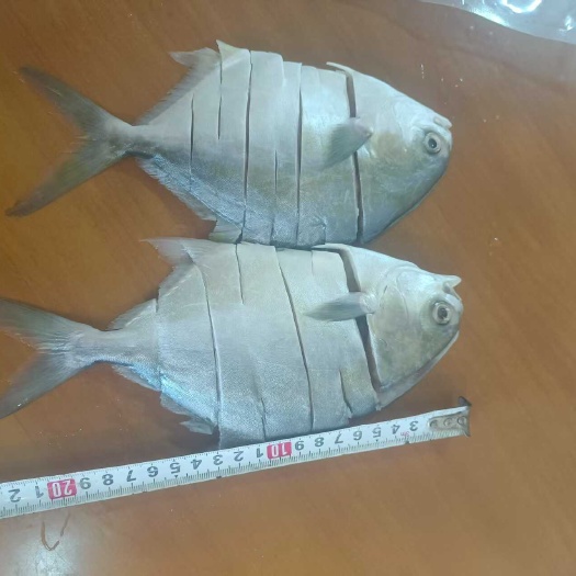 钦州新鲜制作龙门港淡晒金鲳咸鱼，纯手工，天然无防腐剂。