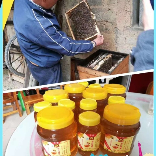 贵港纯正土蜂蜜，成熟龙眼蜜，大量供货！