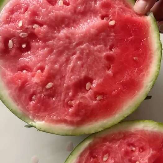 砀山县精品无籽美都