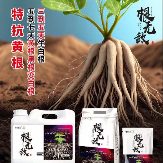 郑州养根，护根，3-5天发新根，5-7天黑根灰根变白根