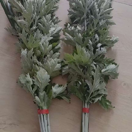蚌埠端午艾草，都是当天采摘，当天发货，量大从优