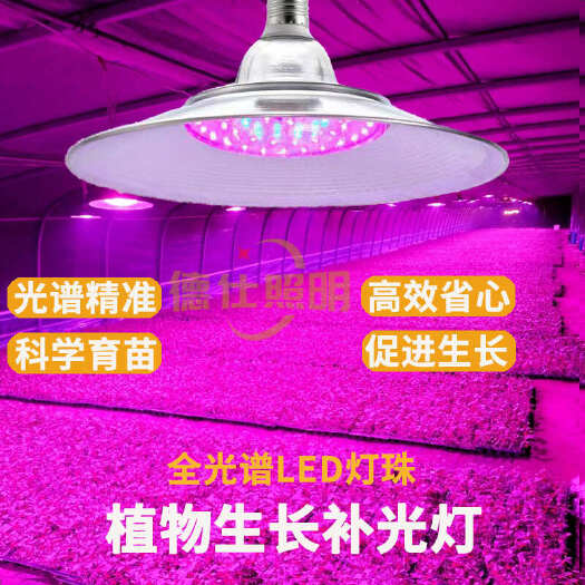中山市led植物补光灯大棚蔬菜草莓多肉室内模拟阳光灯室内种菜补光灯
