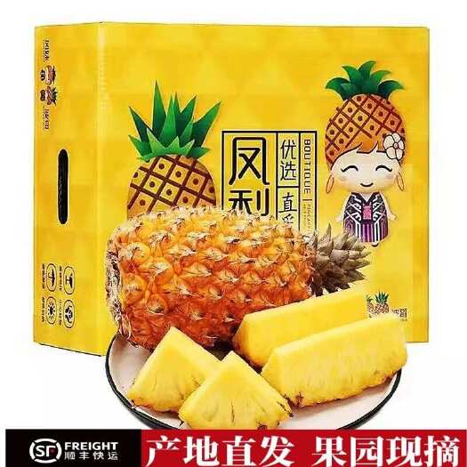 海口【顺丰/京东】海南树熟金钻凤梨香甜（支持一件代发）精品礼盒装
