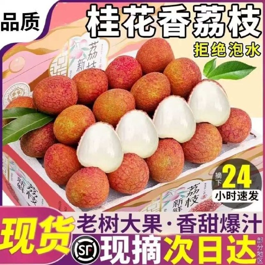 海口【顺丰/京东空运】海南妃子笑荔枝新鲜采摘香甜多汁