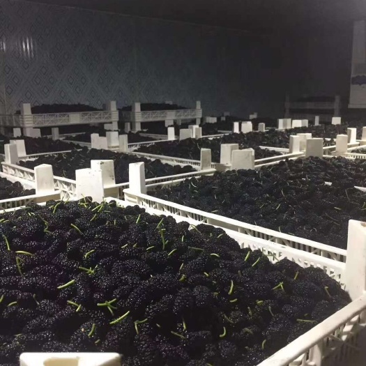 规格大，纯甜，现摘现发。