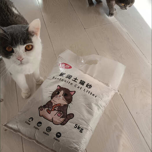 猫砂-结团快吸水除臭粉尘少