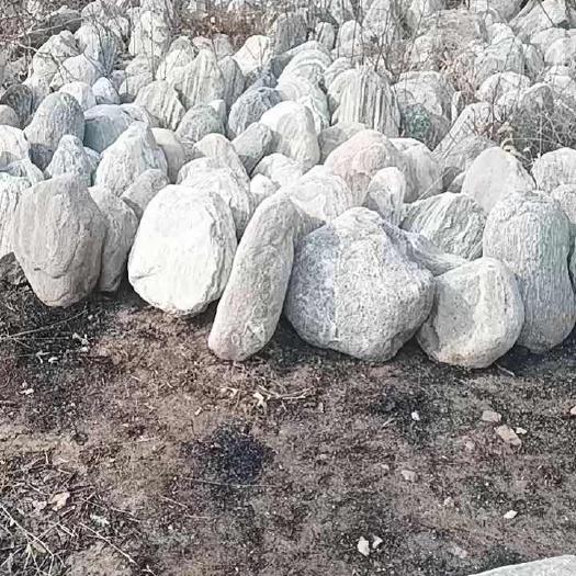 辉县市绿化树果树风景石。农产品