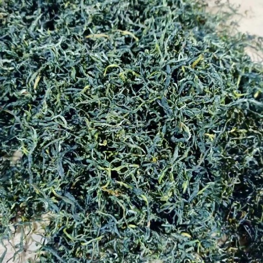 盐津县高山云雾茶