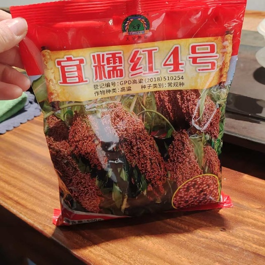 红缨子高粱，2万亩种植基地，接受预定。欢迎咨询，到基地考察