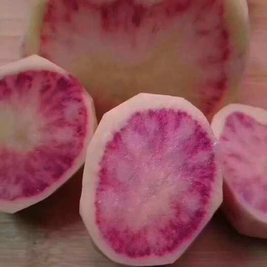 昆明云南大理新鲜七彩土豆批发 基地直发