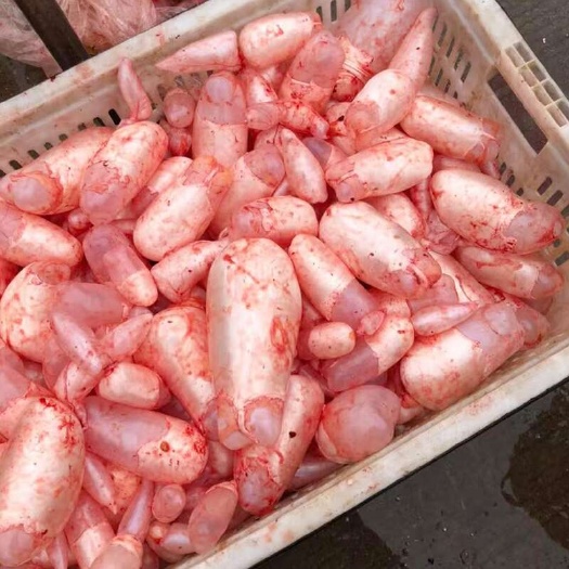 鱼籽鱼泡